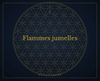 Flammes jumelles - Éclat Sacré
